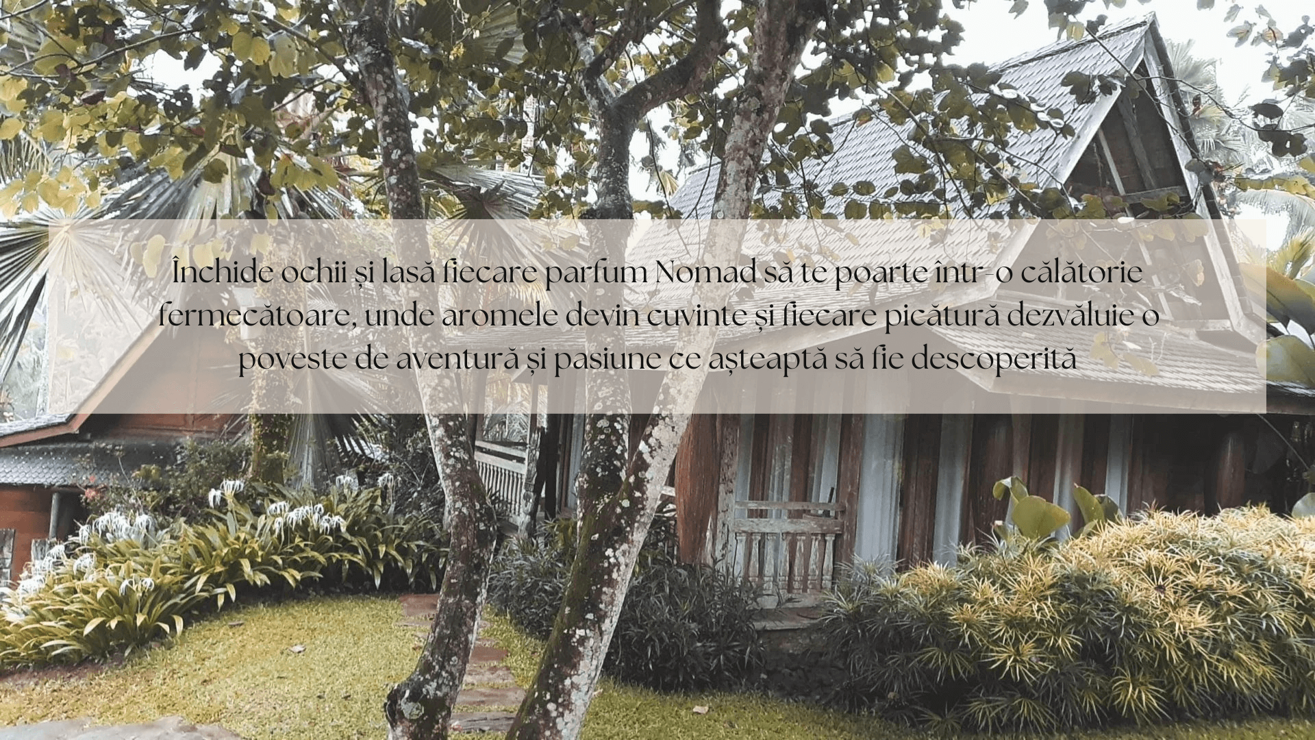 Image on the About Us page showcasing a quaint wooden house nestled under the trees, embodying the essence of Nomad House with the text: Închide ochii și lasă fiecare parfum Nomad să te poarte într-o călătorie fermecătoare, unde aromele devin cuvinte și fiecare picătură dezvăluie o poveste de aventură și pasiune ce așteaptă să fie descoperită.